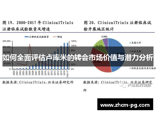 如何全面评估卢库米的转会市场价值与潜力分析
