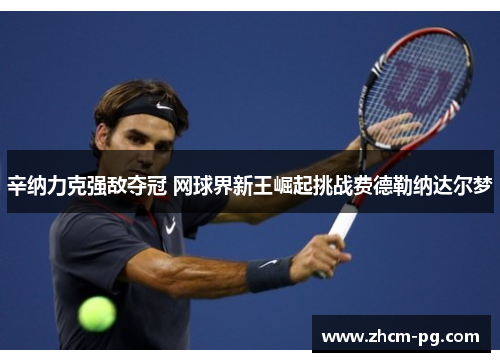 辛纳力克强敌夺冠 网球界新王崛起挑战费德勒纳达尔梦