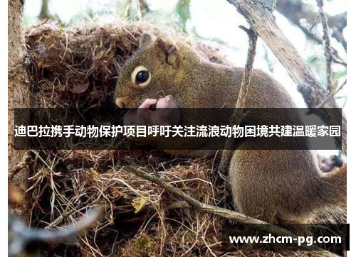 迪巴拉携手动物保护项目呼吁关注流浪动物困境共建温暖家园 迪巴拉携手动物保护项目呼吁关注流浪动物困境共建温暖家园