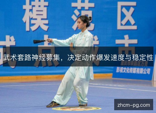 武术套路神经募集,决定动作爆发速度与稳定性 武术套路神经募集,决定动作爆发速度与稳定性